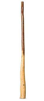 Wix Stix Didgeridoo (WS184)